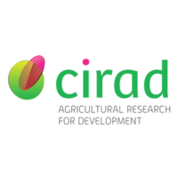 CIRAD