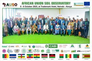 AUSO Project 
launch